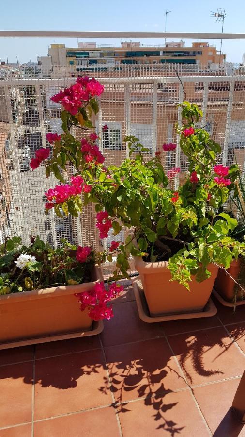 Apartamento Mediterraneo ピネダ・デ・マール エクステリア 写真