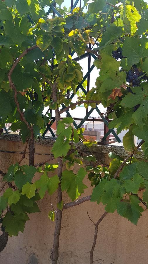 Apartamento Mediterraneo ピネダ・デ・マール エクステリア 写真